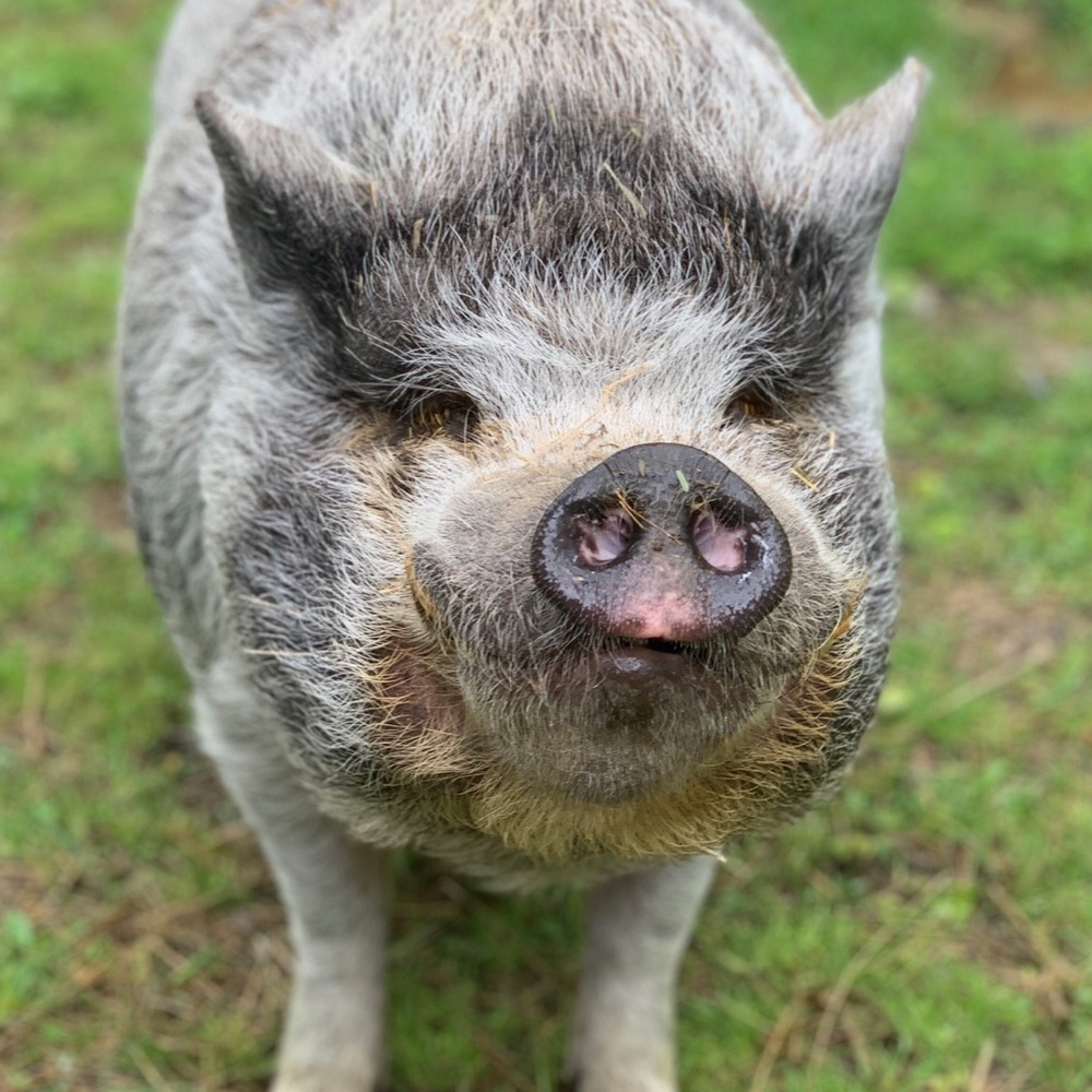 Meet your Posher, Jody